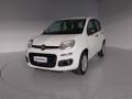 usato FIAT Panda