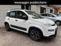 usato FIAT Panda