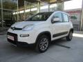 usato FIAT Panda