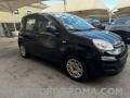 usato FIAT Panda