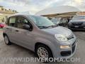 usato FIAT Panda