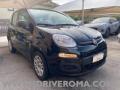 usato FIAT Panda