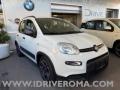 usato FIAT Panda