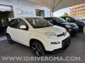 usato FIAT Panda