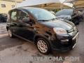 usato FIAT Panda