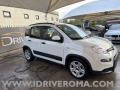 usato FIAT Panda