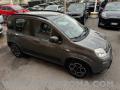 usato FIAT Panda