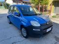 usato FIAT Panda