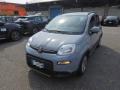 usato FIAT Panda