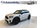 usato MINI Countryman