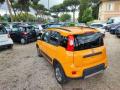 usato FIAT Panda