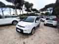 usato FIAT Panda