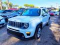 usato JEEP Renegade