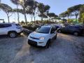 usato FIAT Panda