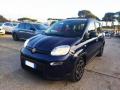 usato FIAT Panda