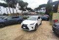 usato LEXUS NX 300h