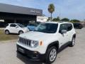 usato JEEP Renegade