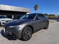 usato ALFA ROMEO Stelvio