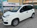 usato FIAT Panda