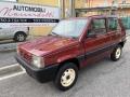 usato FIAT Panda