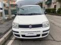 usato FIAT Panda