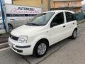 usato FIAT Panda