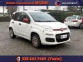 usato FIAT Panda