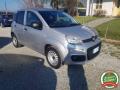 usato FIAT Panda