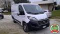 usato FIAT Ducato