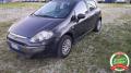 usato FIAT Punto Evo