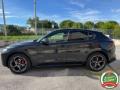 usato ALFA ROMEO Stelvio