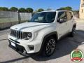 usato JEEP Renegade