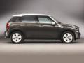 usato MINI Countryman