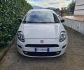 usato FIAT Punto