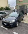 usato FIAT Punto Evo