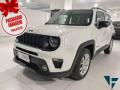 usato JEEP Renegade