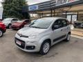 usato FIAT Panda