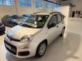 usato FIAT Panda