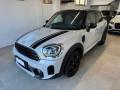 usato MINI Countryman