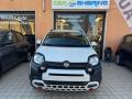 usato FIAT Panda Cross