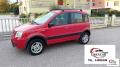 usato FIAT Panda