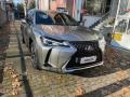 usato LEXUS UX 250h