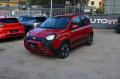 usato FIAT Panda Cross