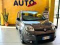 usato FIAT Panda