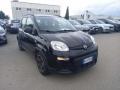 usato FIAT Panda