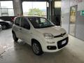 usato FIAT Panda