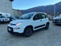 usato FIAT Panda