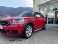 usato MINI Countryman