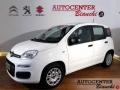 usato FIAT Panda