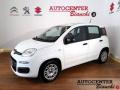 usato FIAT Panda